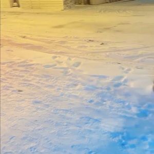 Meet your Posher, Chan mi